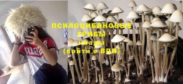 ALPHA PVP Вязьма
