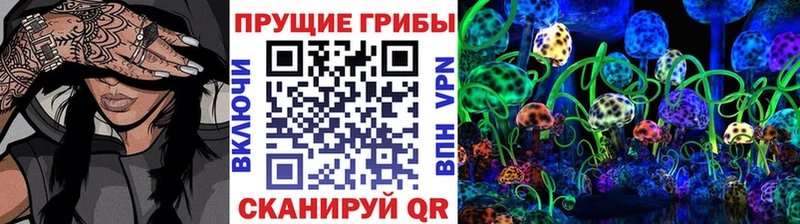 Купить закладки  Валуйки  Псилоцибиновые грибы Magic Shrooms 